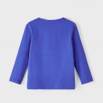 13210793_Bluing_002