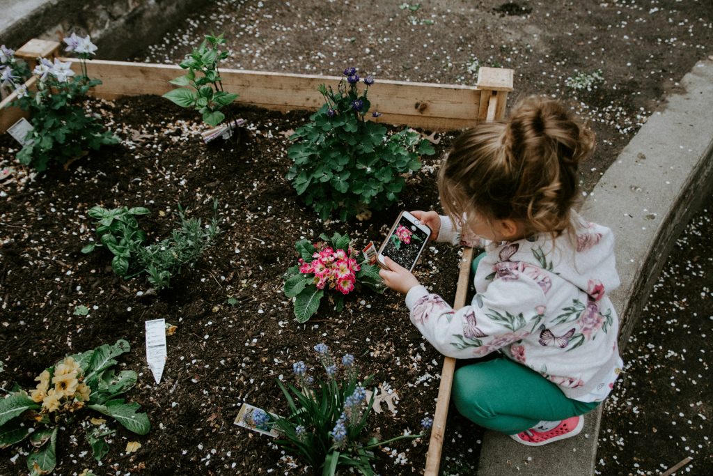 plant tags