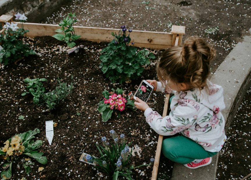 plant tags