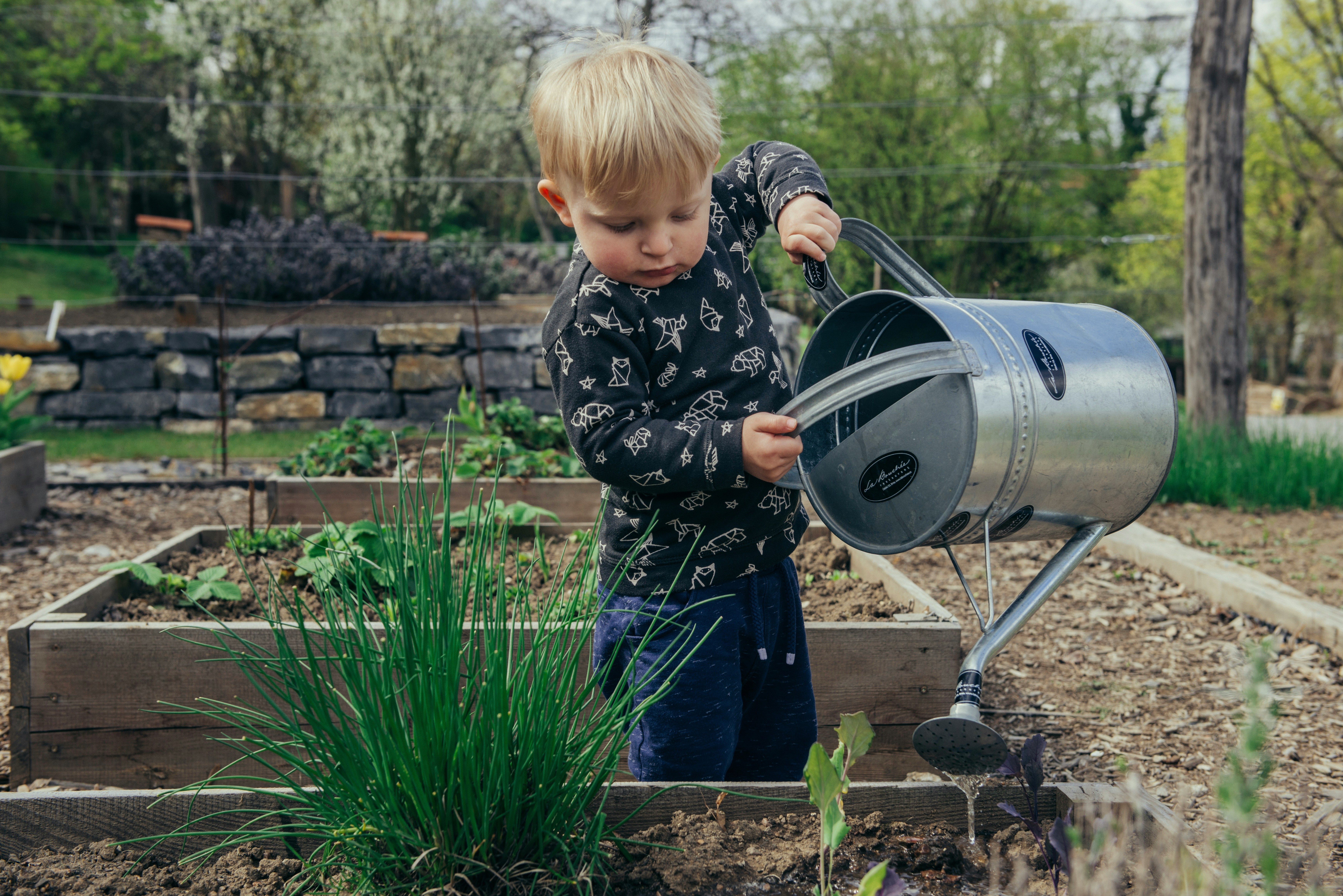 Cultivating Green Hearts: 5 Best Earth Day Activities to Foster Kids’ Environmental Awareness