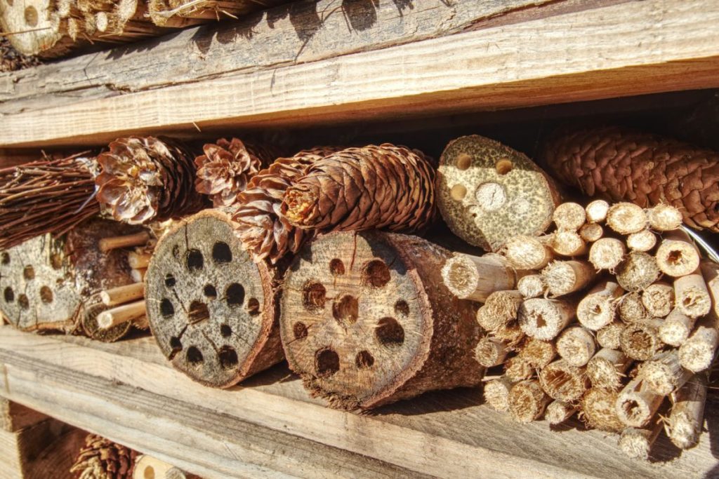 How to build a bug hotel.