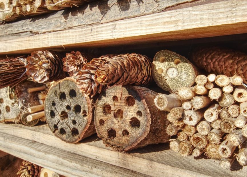 How to build a bug hotel.